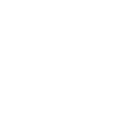 Overseas buyers icon